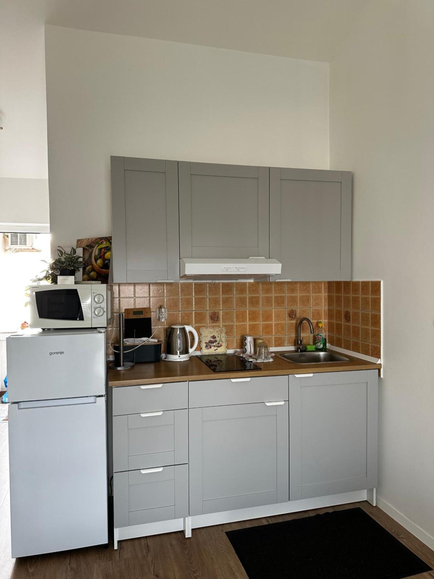 Micic Apartament *